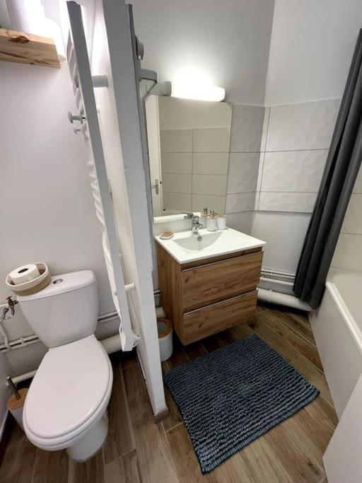 The Jungle Studio, Loggia & Parking Dans Residence Romans-sur-Isere Luaran gambar