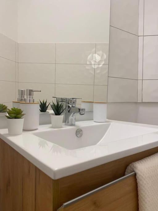 The Jungle Studio, Loggia & Parking Dans Residence Romans-sur-Isere Luaran gambar